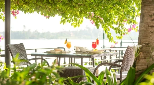 BISTRO SONG VIE