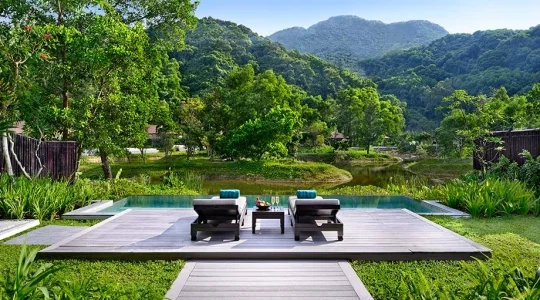BANYAN TREE  LANGCO