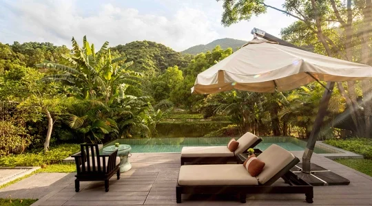 BANYAN TREE  LANGCO