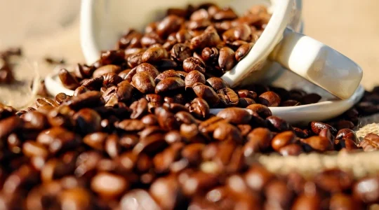 coffee beans