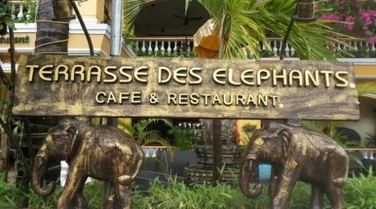 ELEPHANT TERRACE
