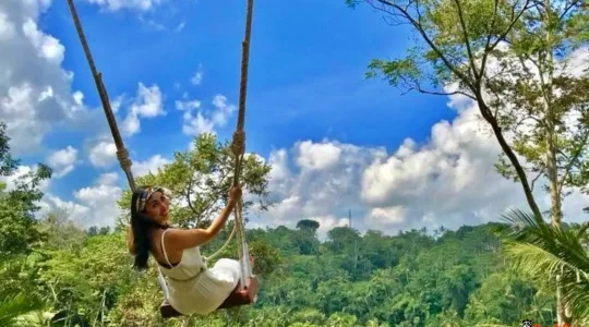 【バリ島】巨大ブランコバリスウィング+ウブド散策