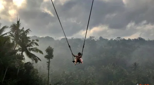 バリスウィング