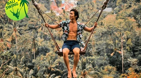 バリスウィング