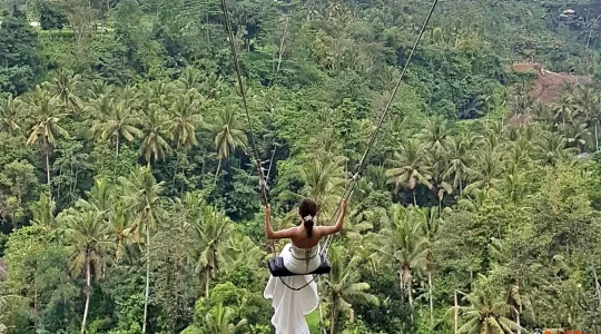 バリスウィング