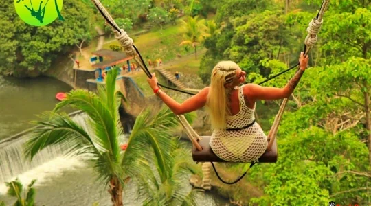 バリスウィング