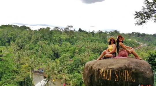 バリスウィング