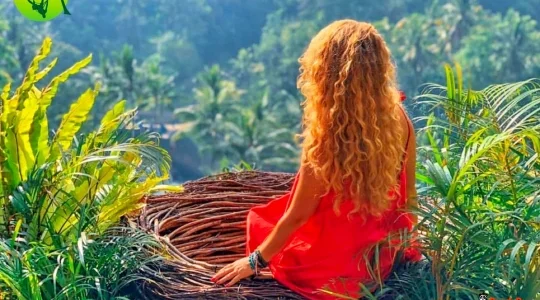 バリスウィング