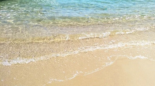 チャム島シュノーケリングツアー