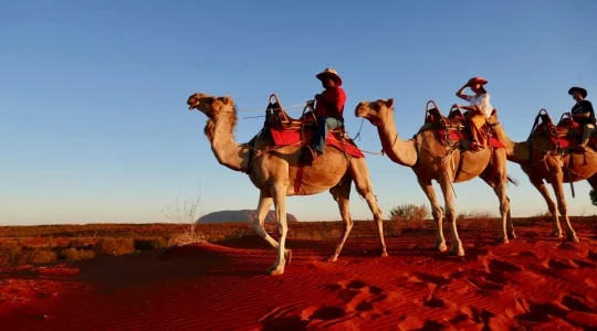ラクダに乗ってウルル＆カタジュタ サンライズ・サンセット鑑賞