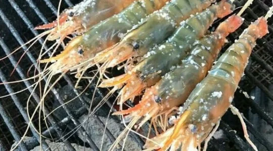 海老釣りイメージ