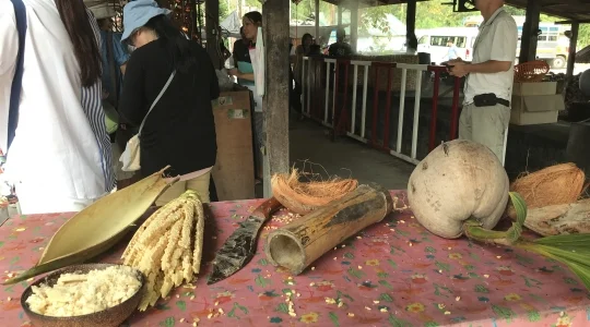 ココナッツファーム