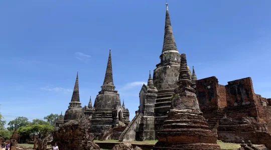 ワットプラシーサンペット