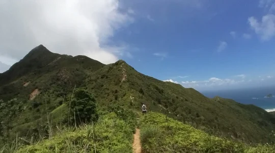 シャープピーク Sharp Peak イメージ