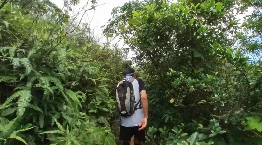 シャープピーク Sharp Peak イメージ