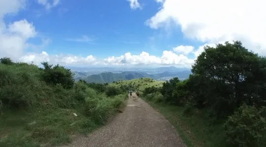 大帽山 Tai Mo Shan イメージ