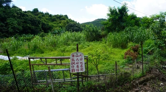 観光イメージ