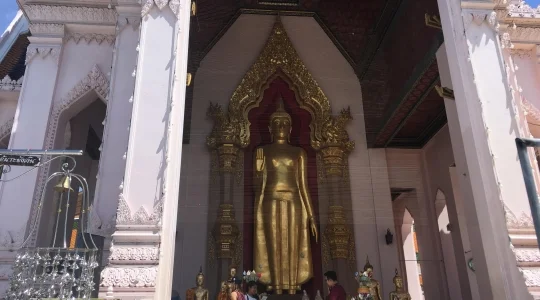 レッドロータス水上マーケット