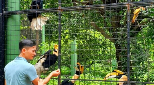 ブンソアイ(Vuon Xoai) 動物園