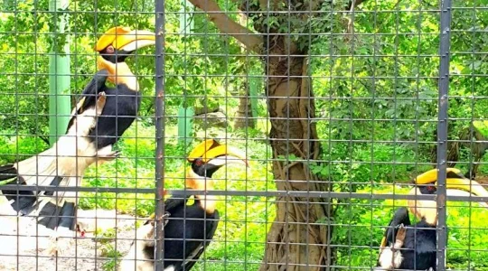 ブンソアイ(Vuon Xoai) 動物園