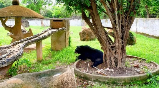 ブンソアイ(Vuon Xoai) 動物園