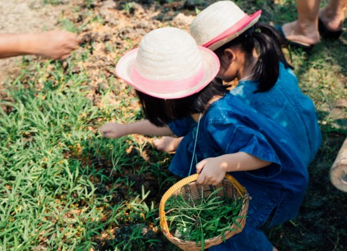 自然学習ファーム