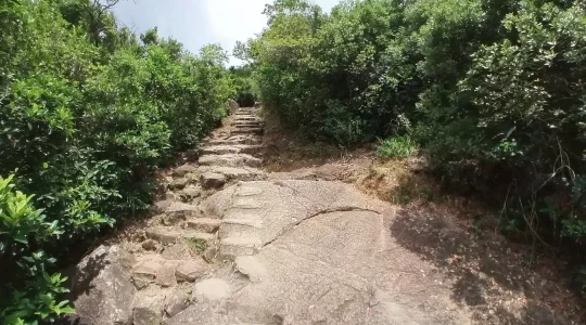 ライオンロックハイキング イメージ