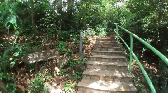 ライオンロック ハイキング イメージ