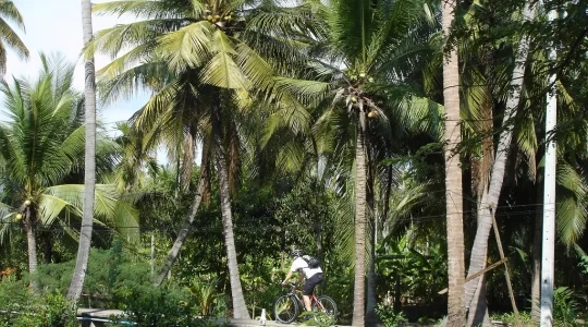 バンコク半日サイクリング