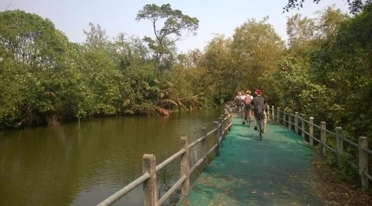バンコク半日サイクリング