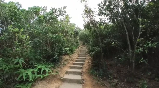 西高山(ハイウェストピーク)への道中