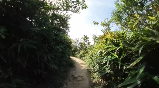 西高山(ハイウェストピーク)への道中