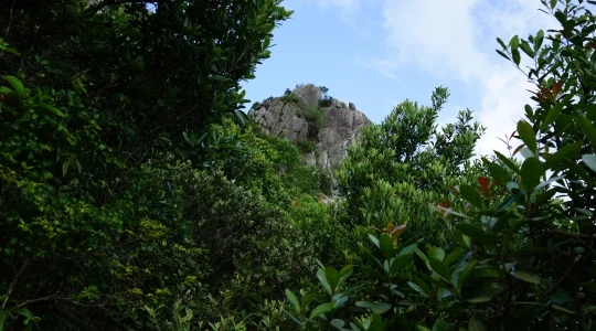 ライオンロック 登山途中から望む頂上 イメージ
