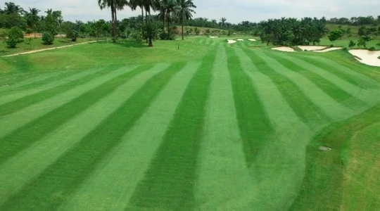 Horizon_Hills_Golf_Country_Club