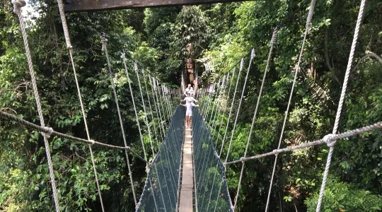 キャノピーウォーク