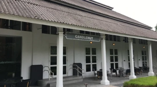 キャンドルナッツ