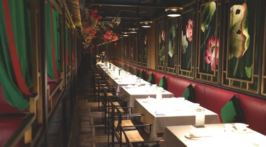 ランチ会場 イメージ