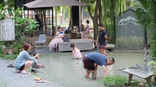 田植え体験