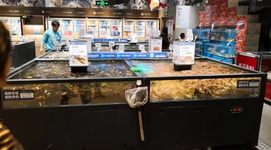 アリババ IOTスーパーマーケット 魚介類の水槽 ～ その場で調理して食べることができるレストランは市民に大人気です