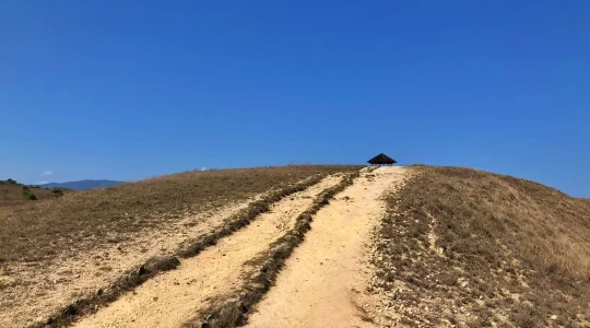 コモド島