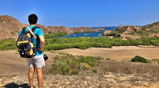 コモド島
