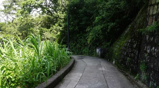 オールドピークロード(舊山頂道) サンプル