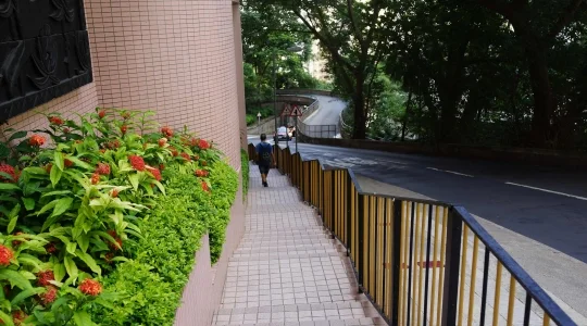 オールドピークロード(舊山頂道) サンプル