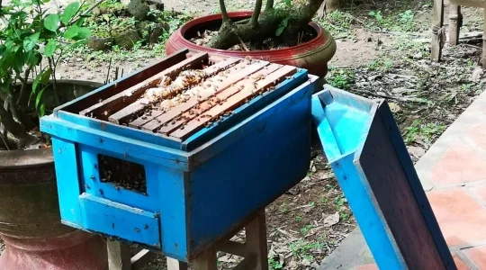 ミト・メコン川クルーズ