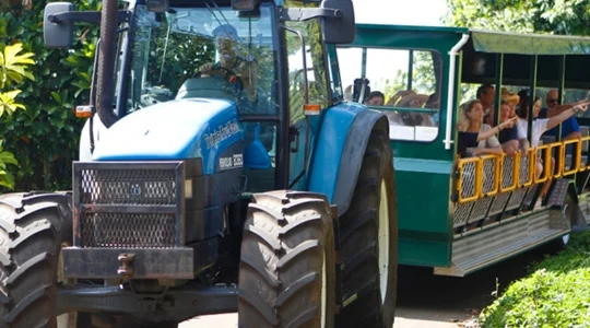 【南国フルーツ満載 】トロピカルフルーツワールド <入場券>