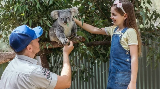 パラダイスカントリー入場チケット