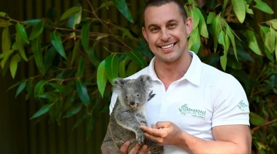【シドニー】フェザーデールシドニーワイルドライフパーク ＜動物園/チケット＞