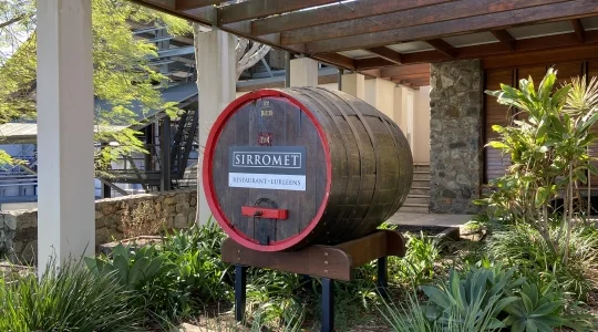 シロメワイナリーでテイスティング！選べるランチ付きプランも