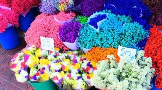 パーククロン花市場