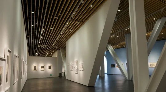 中国国立版画博物館 ～ 巨大なスペースに、世界の一流と言われる版画が贅沢に展示されています